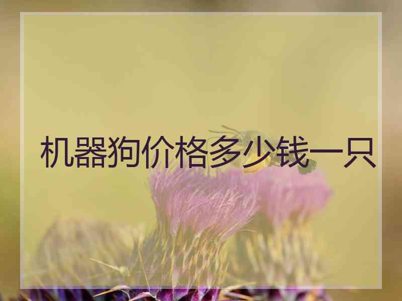 机器狗价格多少钱一只 机器狗价格多少钱一只
