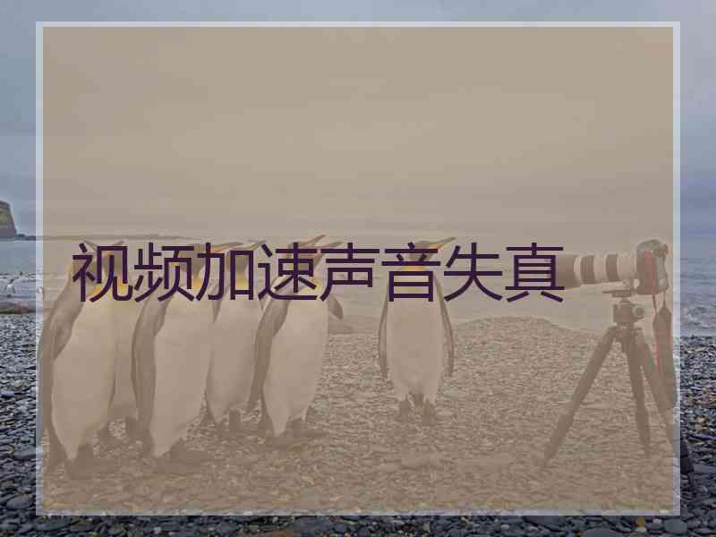 视频加速声音失真 视频加速声音失真