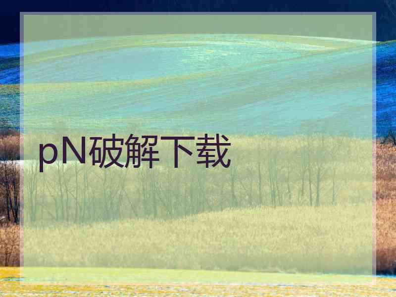 pN破解下载 pN破解下载