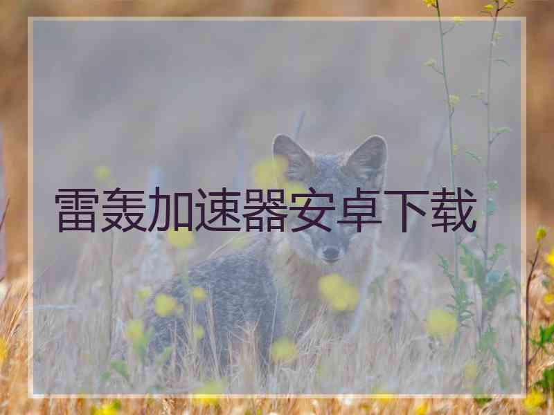 雷轰加速器安卓下载 雷轰加速器安卓下载