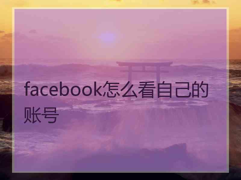 facebook怎么看自己的账号 facebook怎么看自己的账号