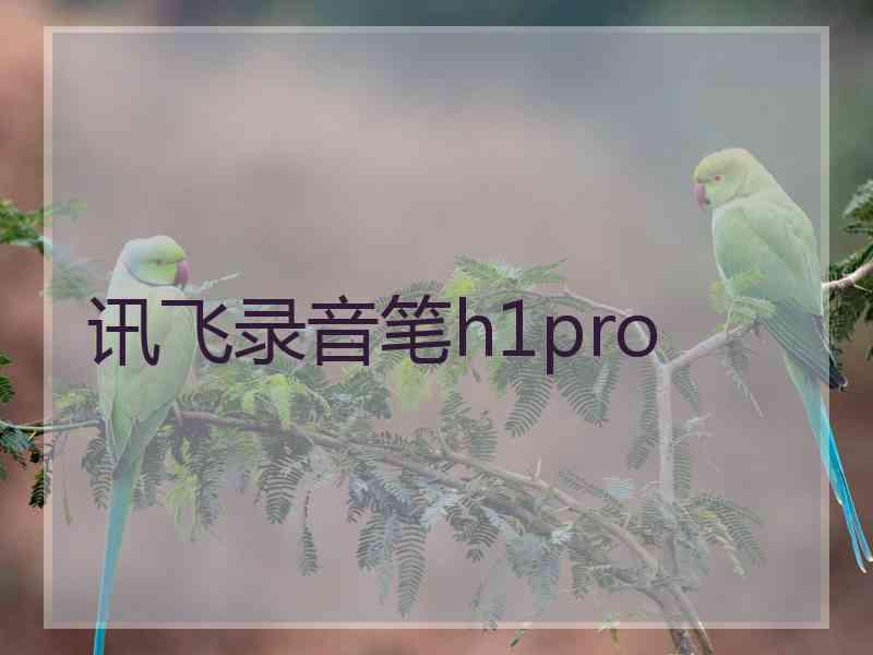 讯飞录音笔h1pro 讯飞录音笔h1pro