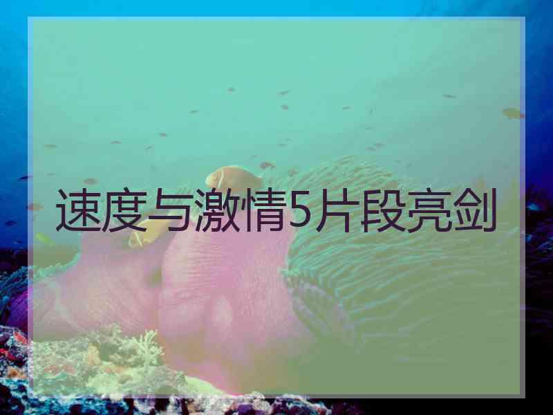 速度与激情5片段亮剑 速度与激情5片段亮剑