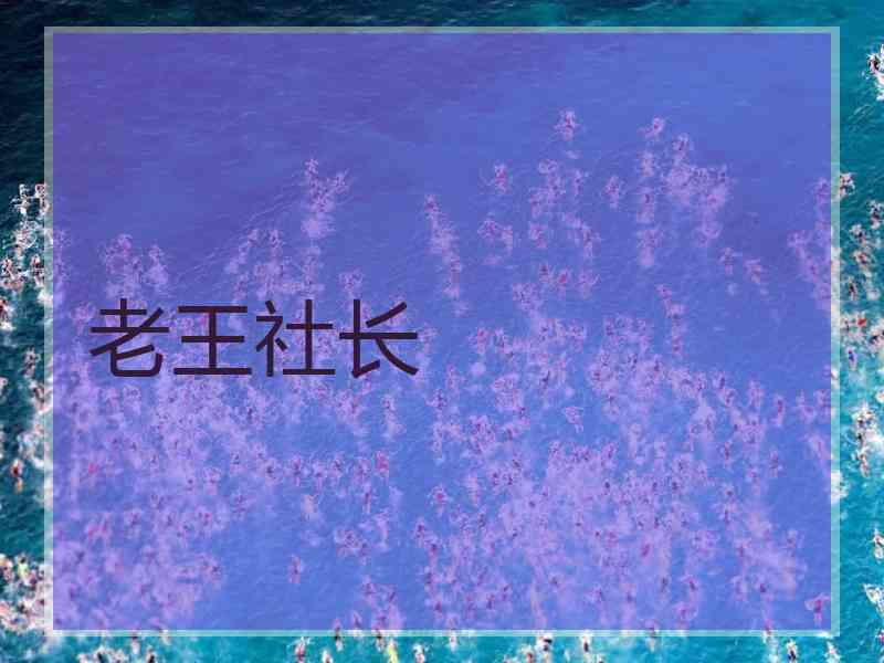老王社长 老王社长