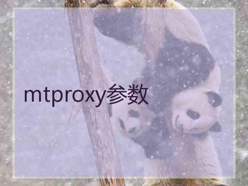 mtproxy参数 mtproxy参数