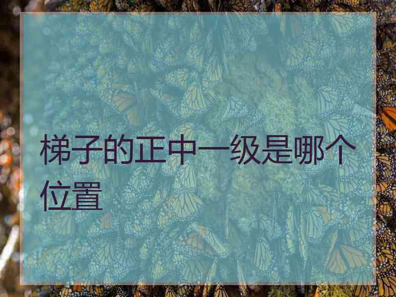 梯子的正中一级是哪个位置 梯子的正中一级是哪个位置