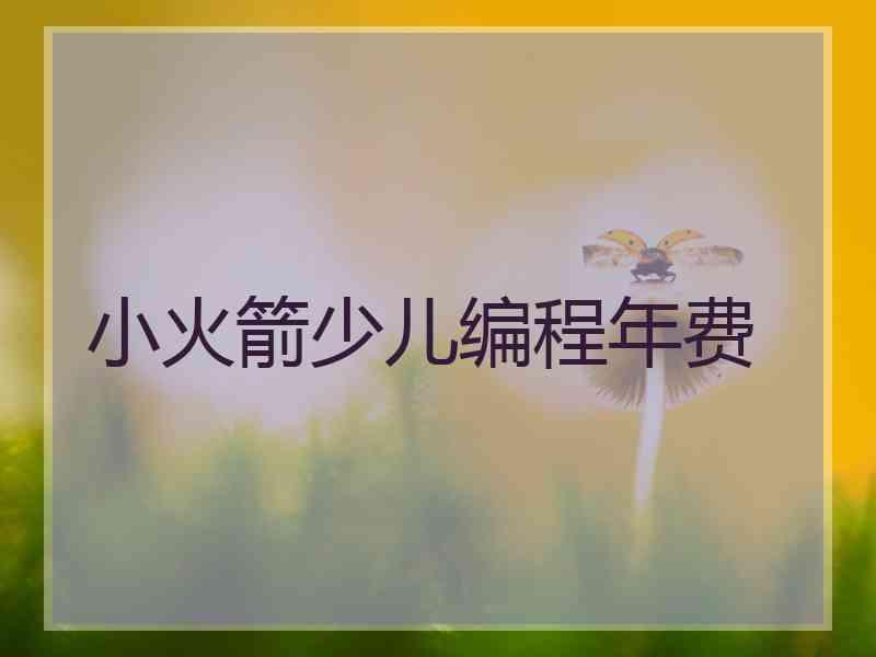 小火箭少儿编程年费 小火箭少儿编程年费