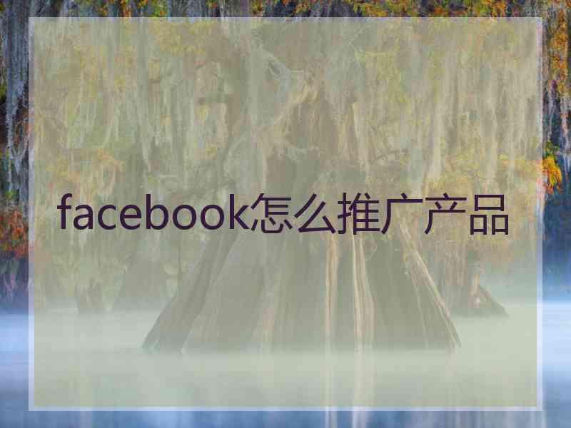 facebook怎么推广产品 facebook怎么推广产品