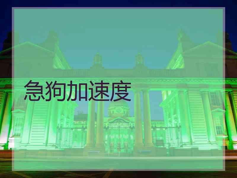 急狗加速度 急狗加速度