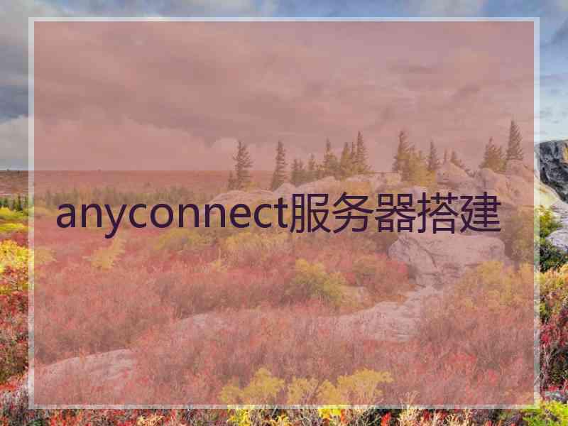 anyconnect服务器搭建 anyconnect服务器搭建