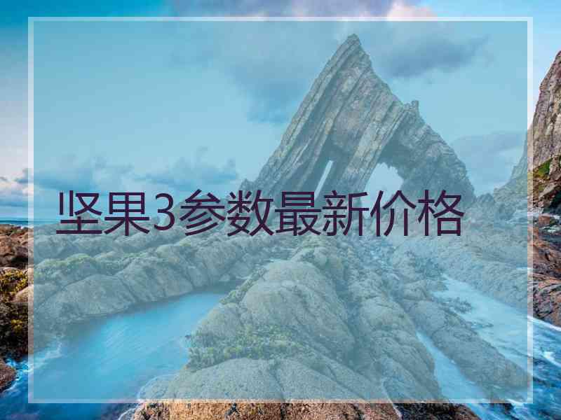 坚果3参数最新价格 坚果3参数最新价格