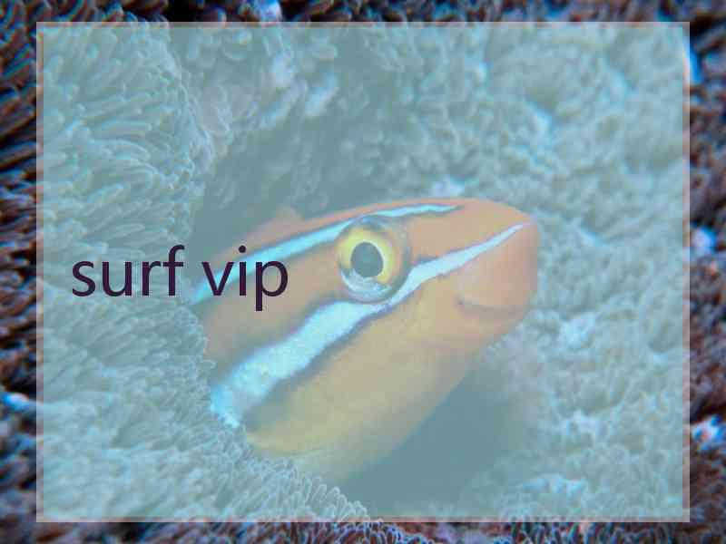 surf vip surf vip