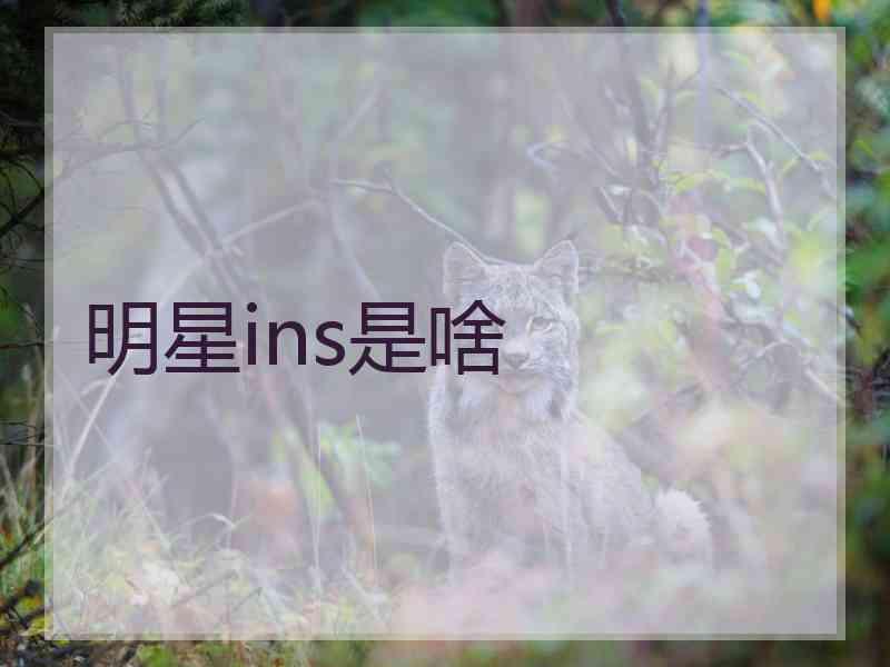 明星ins是啥 明星ins是啥
