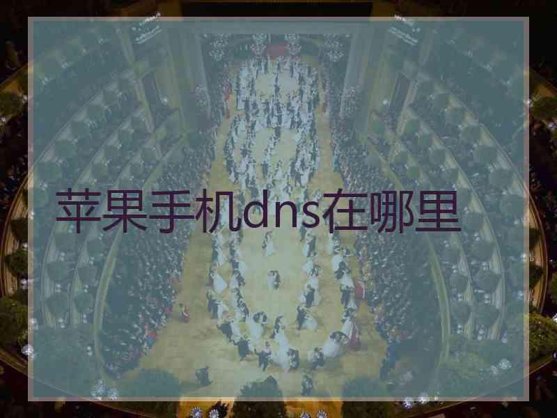 苹果手机dns在哪里 苹果手机dns在哪里