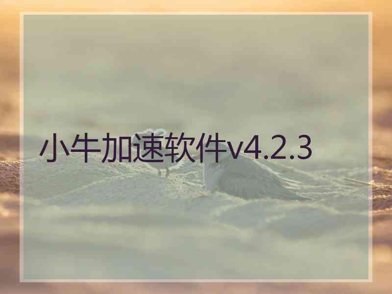 小牛加速软件v4.2.3 小牛加速软件v4.2.3