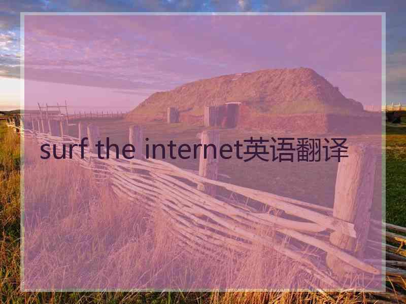 surf the internet英语翻译