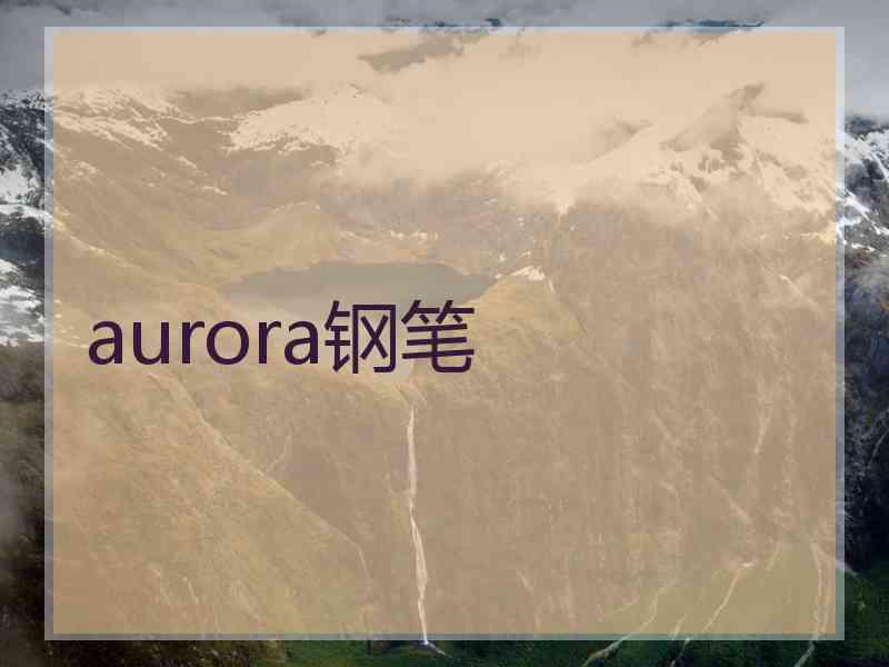 aurora钢笔 aurora钢笔
