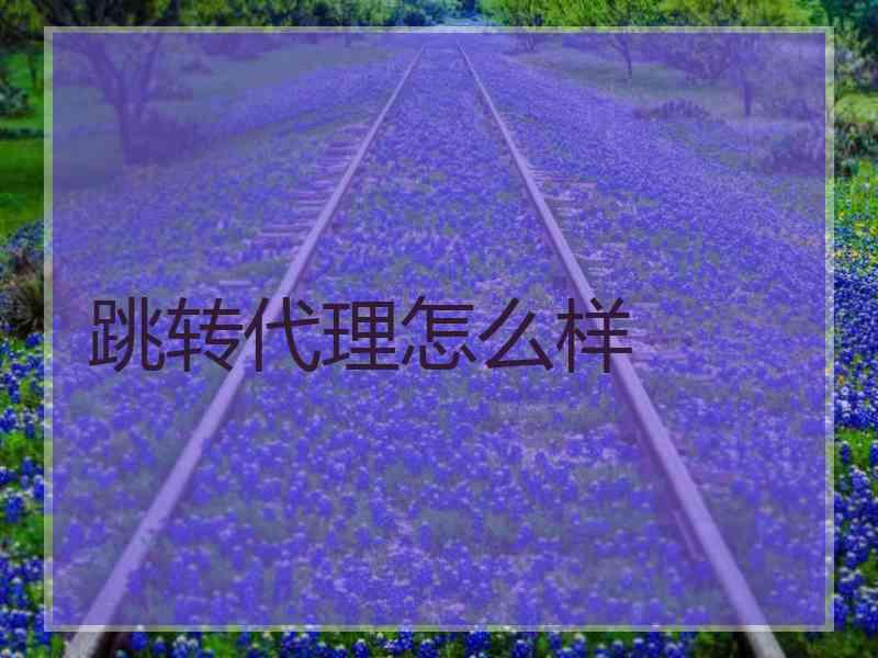 跳转代理怎么样 跳转代理怎么样