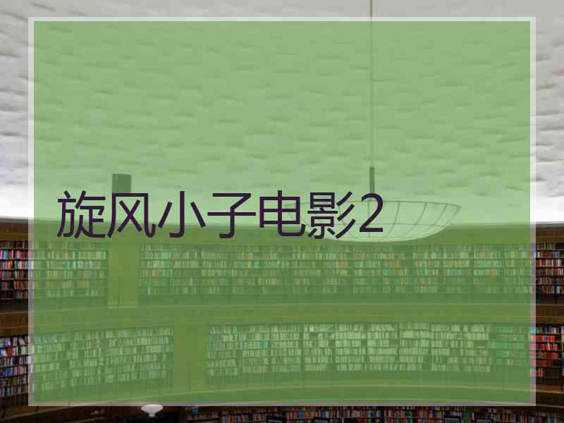 旋风小子电影2 旋风小子电影2