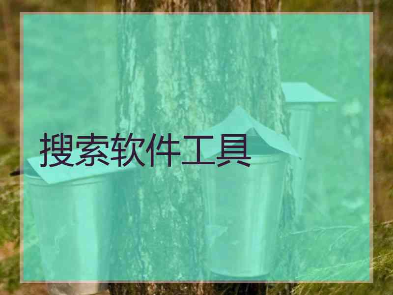 搜索软件工具 搜索软件工具