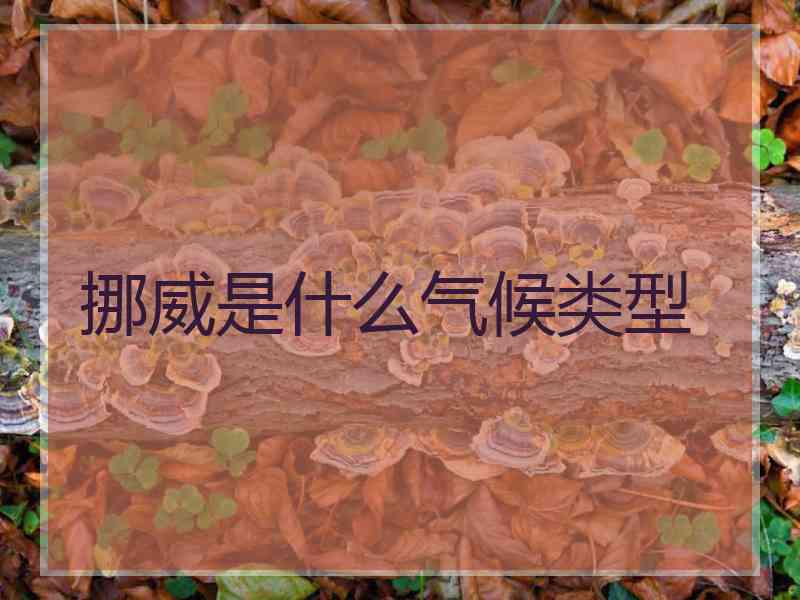 挪威是什么气候类型 挪威是什么气候类型