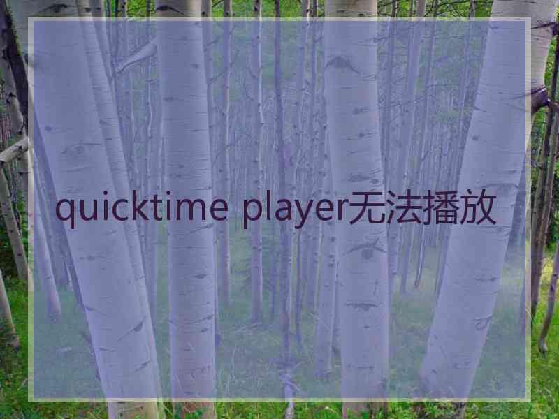 quicktime player无法播放