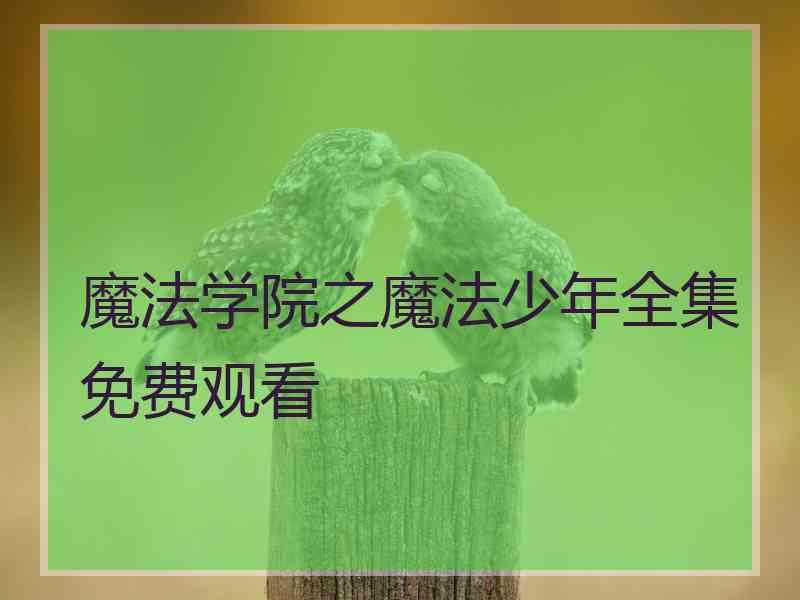 魔法学院之魔法少年全集免费观看 魔法学院之魔法少年全集免费观看