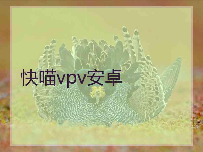快喵vpv安卓 快喵vpv安卓