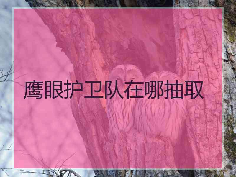 鹰眼护卫队在哪抽取 鹰眼护卫队在哪抽取