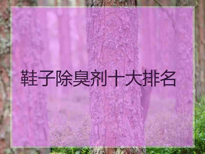 鞋子除臭剂十大排名 鞋子除臭剂十大排名