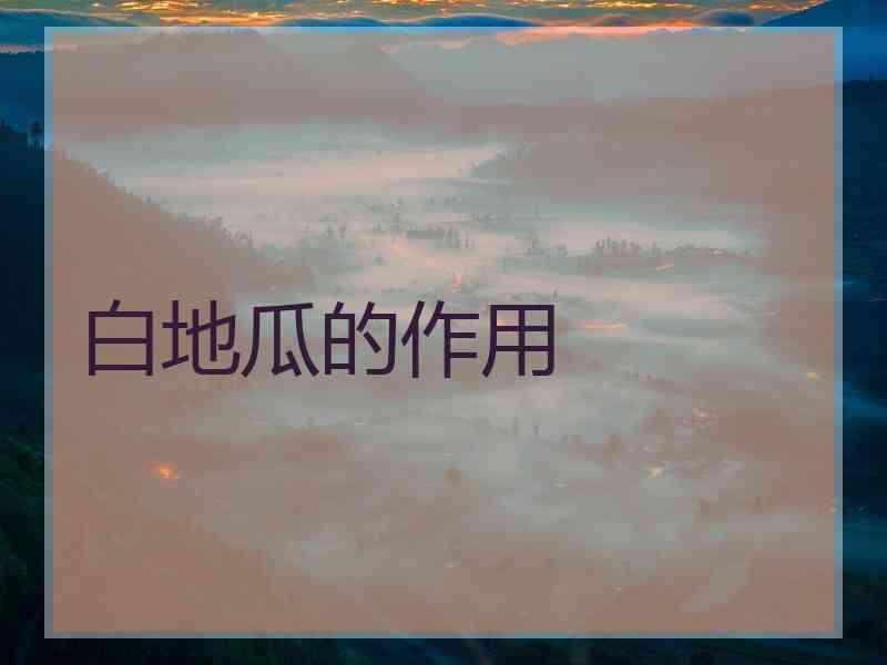 白地瓜的作用 白地瓜的作用
