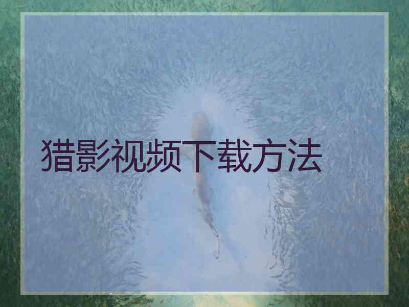 猎影视频下载方法 猎影视频下载方法