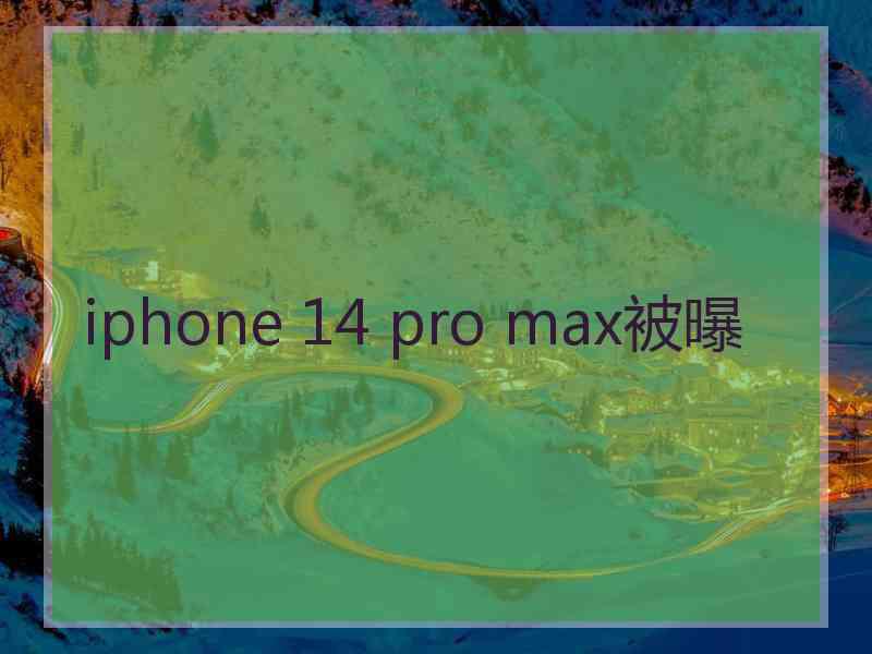 iphone 14 pro max被曝