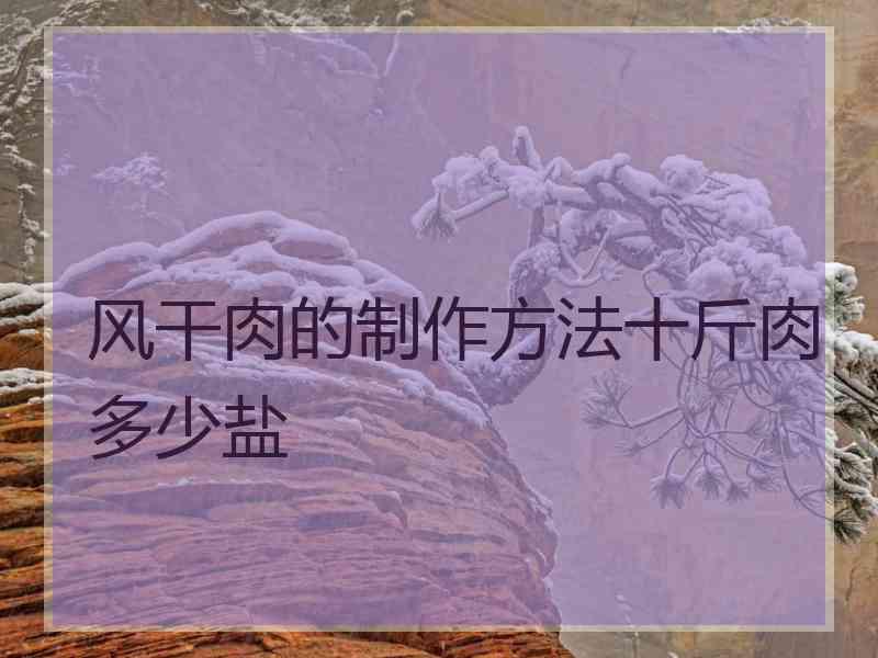 风干肉的制作方法十斤肉多少盐 风干肉的制作方法十斤肉多少盐