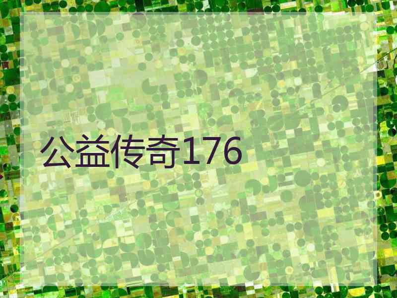 公益传奇176 公益传奇176