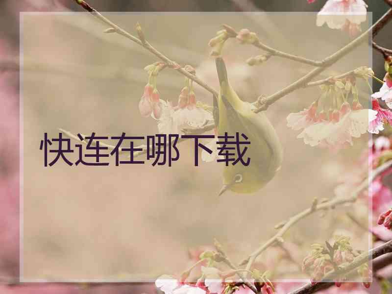 快连在哪下载 快连在哪下载
