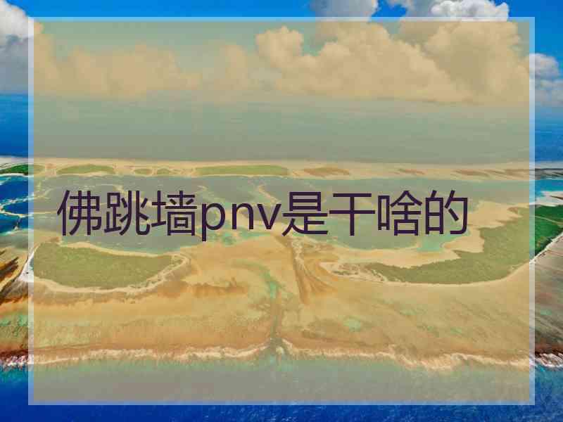 佛跳墙pnv是干啥的 佛跳墙pnv是干啥的