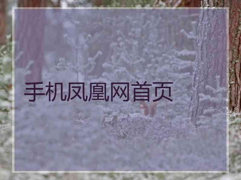 手机凤凰网首页 手机凤凰网首页