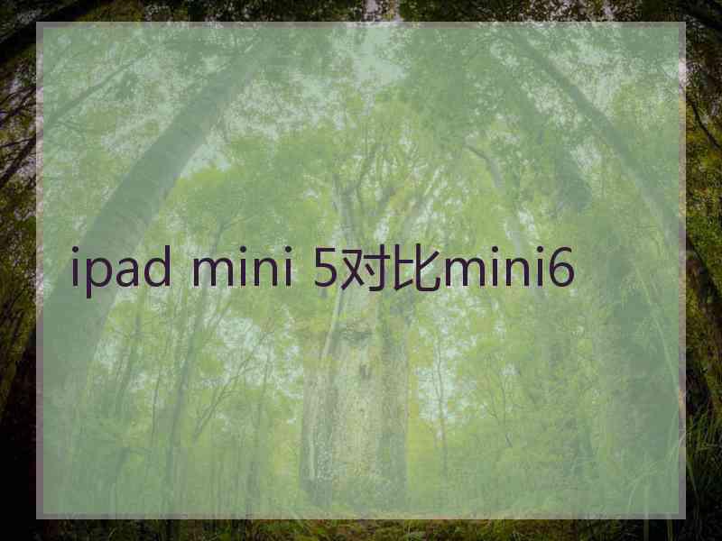 ipad mini 5对比mini6