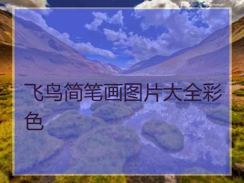 飞鸟简笔画图片大全彩色 飞鸟简笔画图片大全彩色