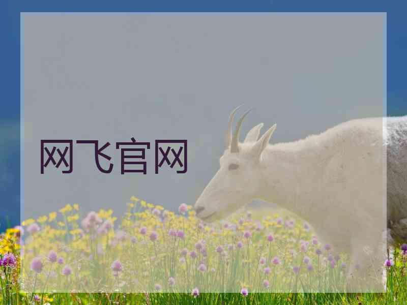 网飞官网 网飞官网