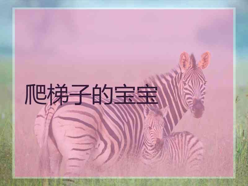 爬梯子的宝宝 爬梯子的宝宝
