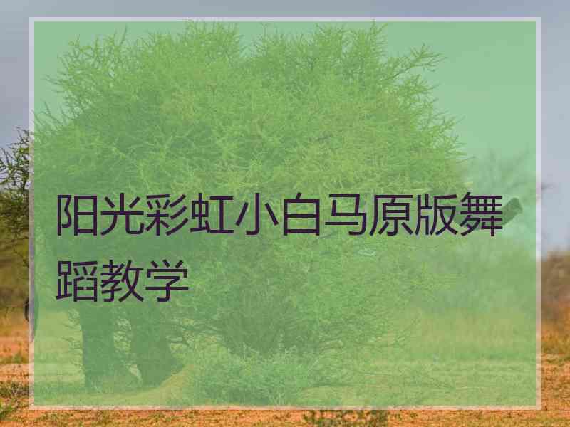 阳光彩虹小白马原版舞蹈教学 阳光彩虹小白马原版舞蹈教学