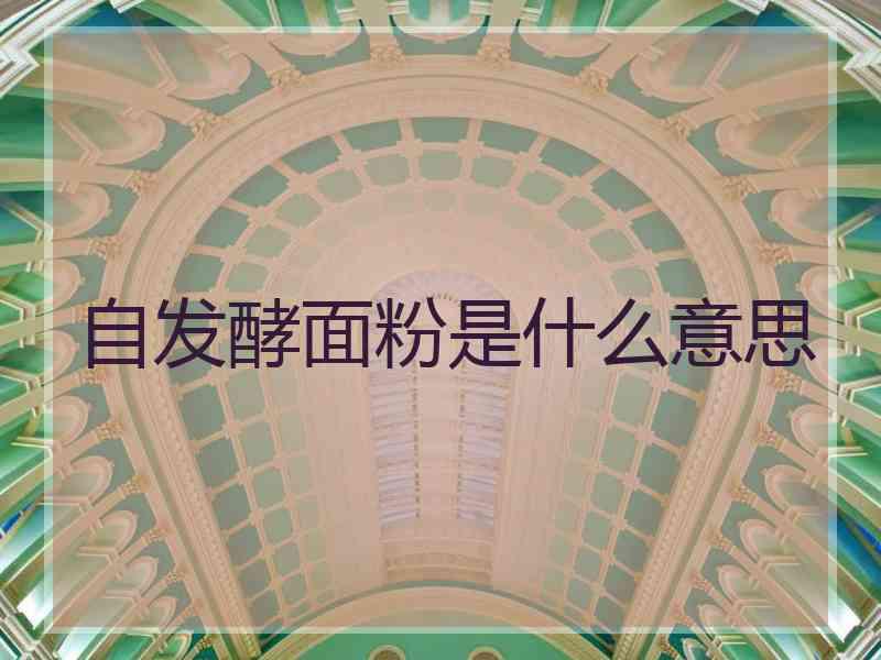 自发酵面粉是什么意思 自发酵面粉是什么意思