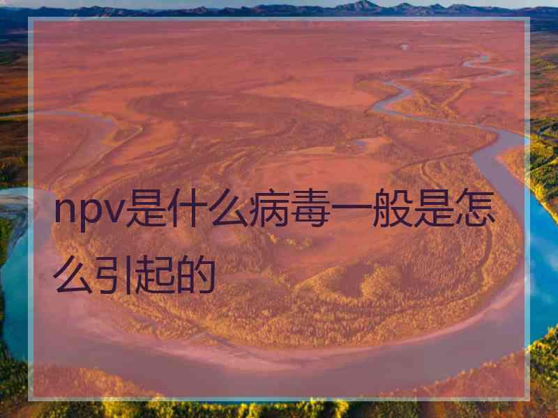 npv是什么病毒一般是怎么引起的 npv是什么病毒一般是怎么引起的