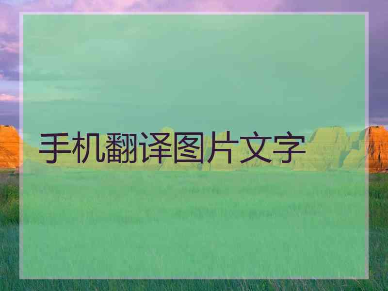 手机翻译图片文字 手机翻译图片文字