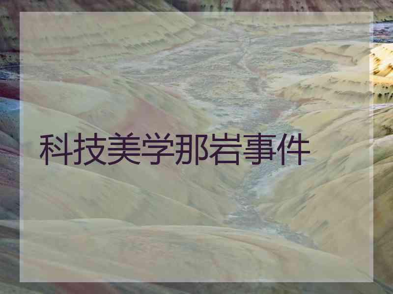 科技美学那岩事件 科技美学那岩事件