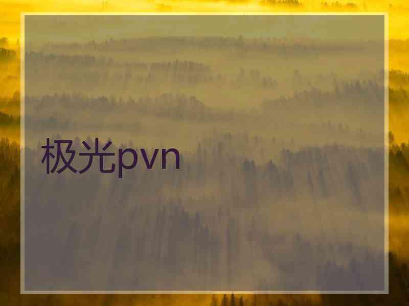 极光pvn 极光pvn