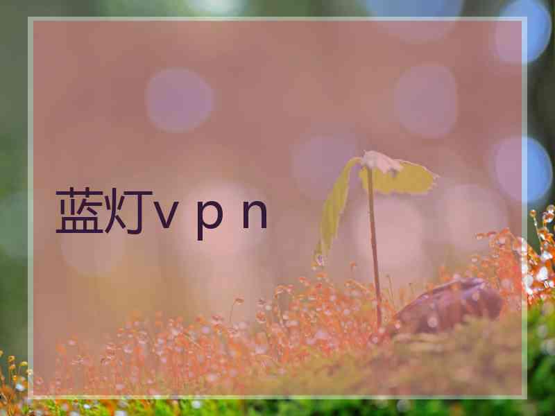 蓝灯v p n 蓝灯v p n