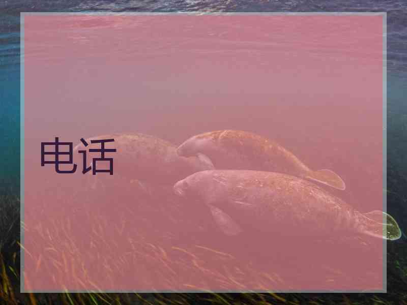 电话 电话